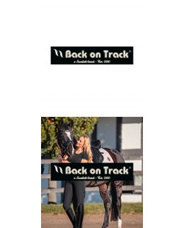 Back-on-Track