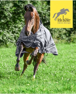 Попоны для лошадей