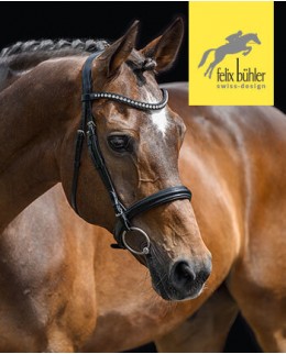 Уздечки и аксессуары