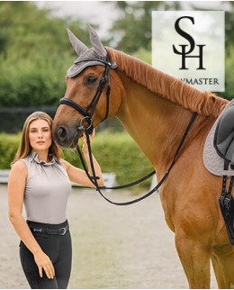 Коллекции лошадей