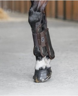 Передние ногавки