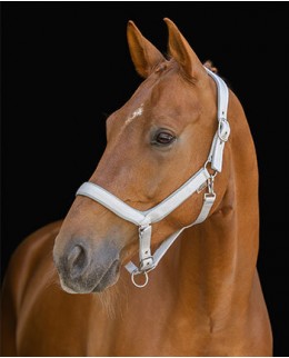 Недоуздки и чомбура