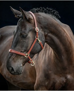 Кожаные недоуздки