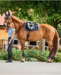 Коллекция Swiss Design