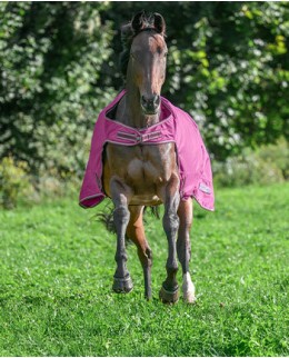 Полупопоны и накидки