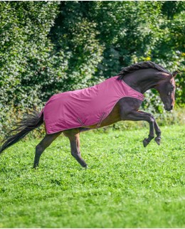 Прогулочные накидки