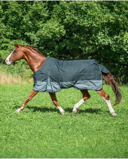 С наполнителем 50g