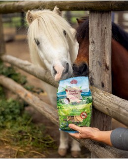 Конфеты для лошади