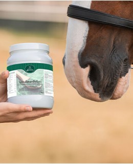 Для иммунитета