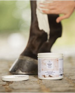 Сухожилия, связки и суставы