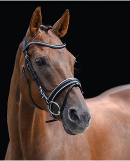 Английские и комбинированные уздечки