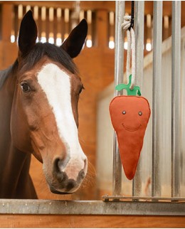 Все против скуки