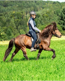 Исландский стиль