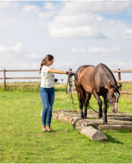 Работа в манеже