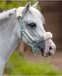 Пони и жеребята