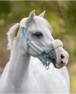 Недоуздки для пони и жеребят