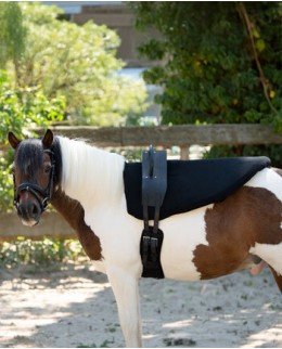 Гурты и аксессуары