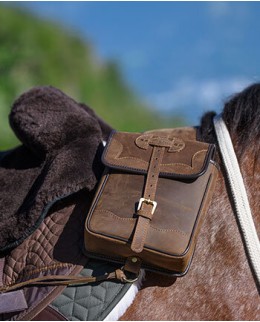 Седельные сумки