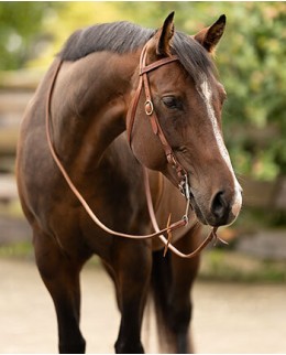 Вестерн уздечки и аксессуары