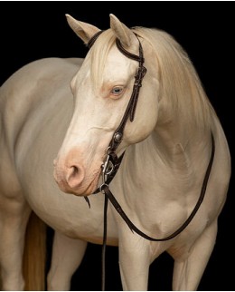 Одноухие уздечки