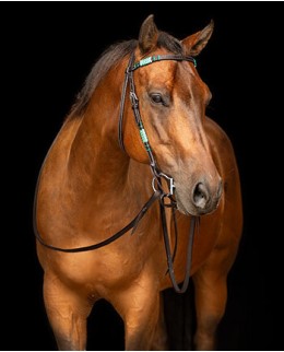 Прямой налобник