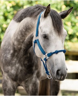 Веревочные недоуздки