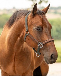 Недоуздки классические