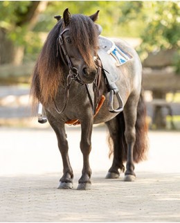 Вестерн для пони