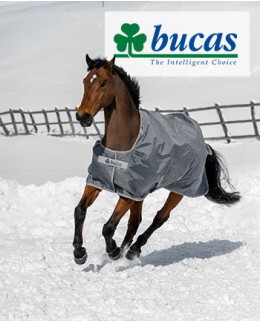 Попоны для лошадей