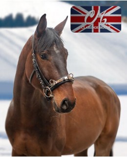 Работа на корде и вольтижировка