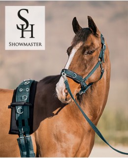 Работа на корде и манеже