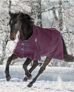 С наполнителем 50g