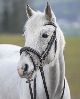 Трензеля для пони