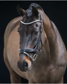 Английские и комбинированные уздечки