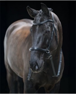 Безтрензельные уздечки