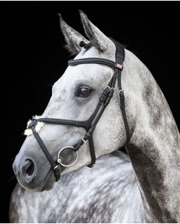 Ганноверские и мексиканские уздечки