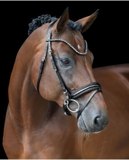 Шведские уздечки и оголовья