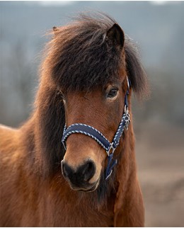 Исландские недоуздки