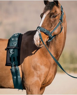 Работа на корде