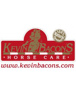 KEVIN BACON'S