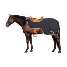 Дождевая полупопона Weather Protect