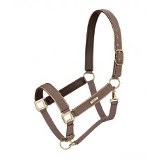 Недоуздок Glitter