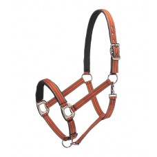 Недоуздок Swiss Design II