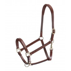 Кожаный недоуздок Siri