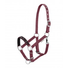 Недоуздок для жеребят и шетти Future Star