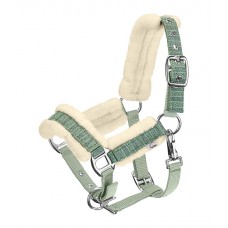 Недоуздок для жеребят и шетти Shine