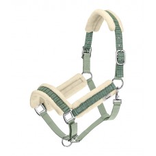 Недоуздок Shine