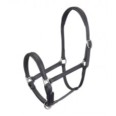 Кожаный недоуздок для жеребят и шетти Siri