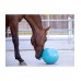 Мяч для лошади