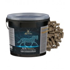 Добавка ECS Premium